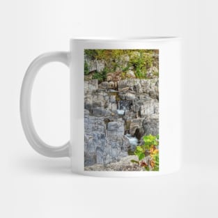 Shut-Ins State Park Study 3 Mug